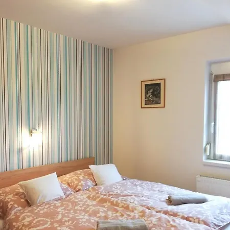 Apartman Boroka *